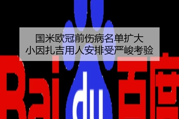 国米欧冠前伤病名单扩大 小因扎吉用人安排受严峻考验