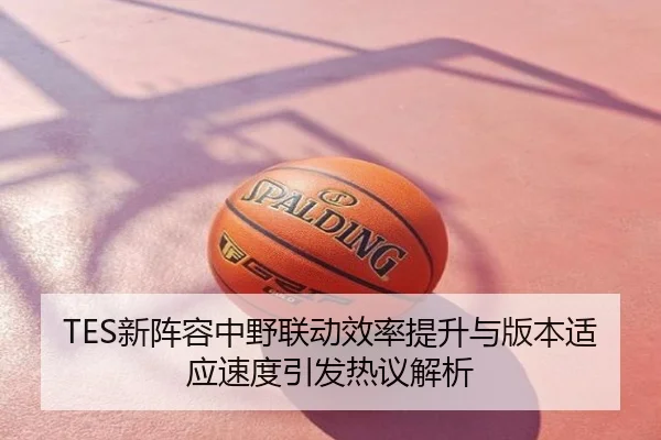 TES新阵容中野联动效率提升与版本适应速度引发热议解析